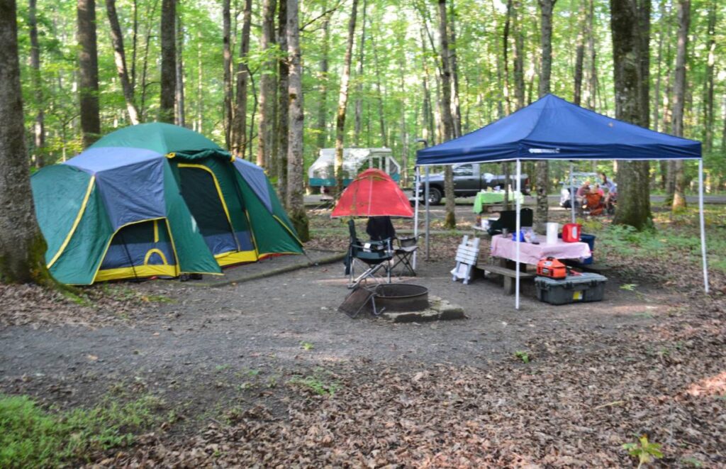 Best NC State Parks for Camping.