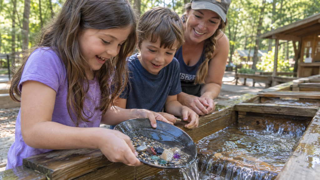 Gem Mining at Zooland