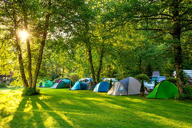 sustainable Camping Trends